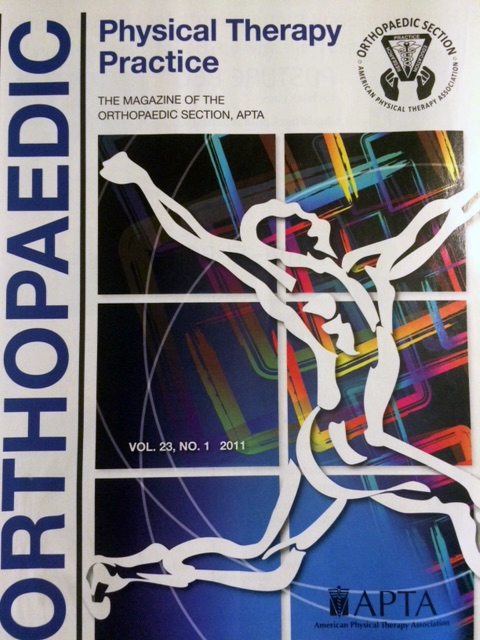 Temraz Published in Orthopaedic Magazine